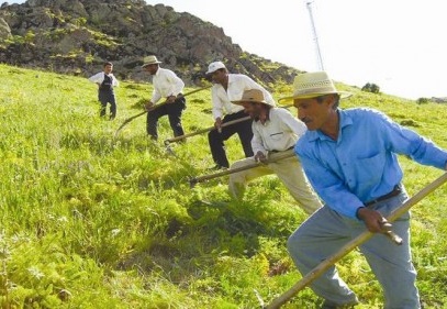 Çiftçinin takipteki kredisi artıyor