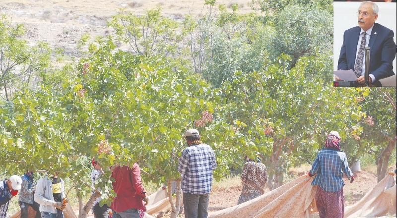 Çiftçinin tarlasındaki sulama kuyularındaki dinamoları ve kabloların çalınıyor