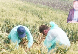 Çiftçinin traktörü, tarlası ve ahırındaki ineklere kadar haciz konuldu