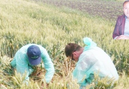 Çiftçinin traktörü, tarlası ve ahırındaki ineklere kadar haciz konuldu