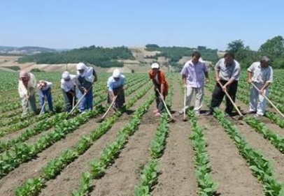 Çiftçinin vergi borcu en az bir yıl süreyle faizsiz olarak ertelenmeli