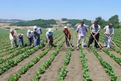 Çiftçinin vergi borcu en az bir yıl süreyle faizsiz olarak ertelenmeli
