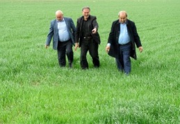 Çiftçinin yüzü gülüyor
