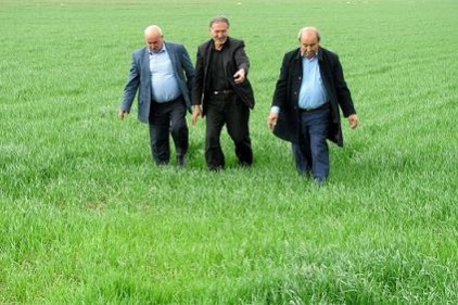 Çiftçinin yüzü gülüyor
