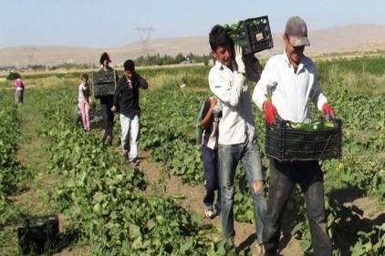 Çiftçiye karşılıksız destek ödemesi yapılacak
