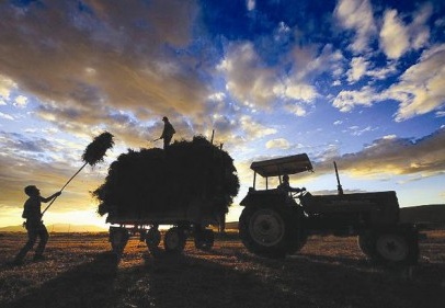 Çiftçiye kredi faizi müjdesi