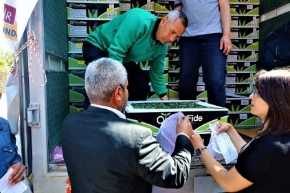 Çiftçiye patlıcan ve domates fidesi dağıtıldı