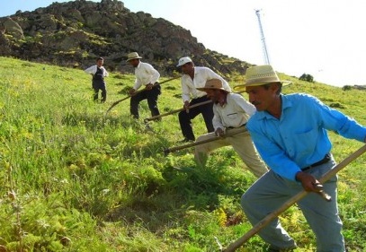 Çiftçiye verilecek kredinin faiz oranları belirlendi