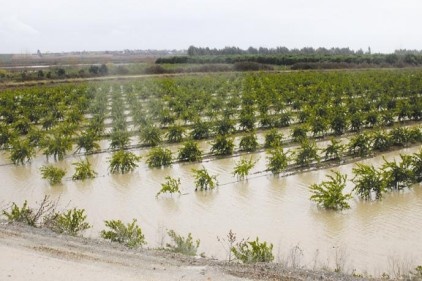 Çiftçiyi yağış için uyardı