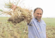 Çiftçiyi yeniden kuraklık korkusu sardı