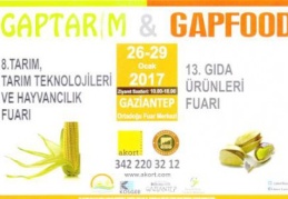 Çifte Fuarı Şimşek açacak