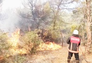 Ciğerlerimizi, yüreğimizi cayır cayır yakıyorlar