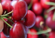 Çilek ve kirazda verim yüzde 30 arttı