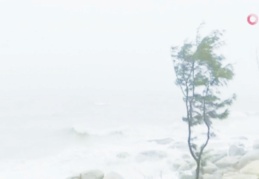 Çin’de tayfun alarmı: 33 bin kişi tahliye edildi