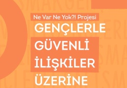 Cinsel Şiddetle Mücadele Derneği’nden yeni rapor