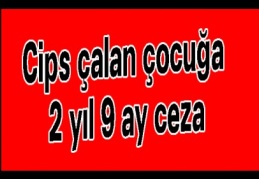 Cips çalan çocuğa 2 yıl 9 ay ceza