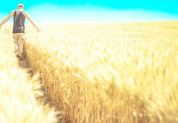 ÇKS kaydı yaptıran çiftçi sayısı yüzde 23,6 azaldı