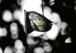 CNN: CIA, Kaşıkçı belgelerini yayınlamalı