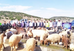 Çobanlarımızın, su problemi kalmadı, devamlı temiz içilebilir suları akacak