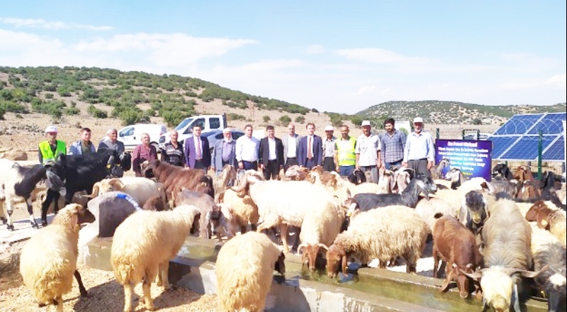 Çobanlarımızın, su problemi kalmadı, devamlı temiz içilebilir suları akacak