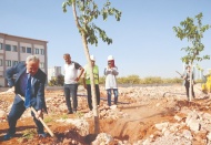 Çocuk hastanesinin çevresi yeşilleniyor