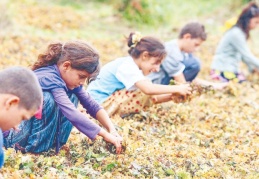 “Çocuk işçiliği ile mücadele çıraklık eğitiminden geçer”