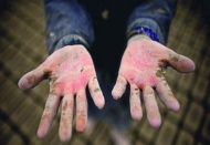 Çocuk işçiliğinin en fazla olduğu iller: Urfa, Adana, Antep ve Osmaniye