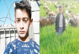 Çocuk tüfekle oynar mı?