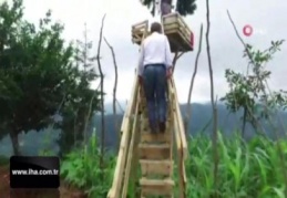 Çocukken diktiği çam ağacına şimdi seyir terası kurdu