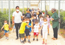 Çocuklar domates, biber ve patlıcan hasadı yaptı