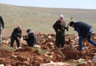 Çocuklar için hatıra ormanı kuruluyor