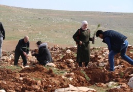 Çocuklar için hatıra ormanı kuruluyor