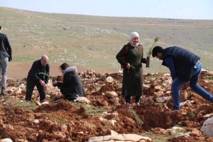 Çocuklar için hatıra ormanı kuruluyor