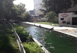 Çocuklar, yürekleri ağızlara getirdi
