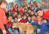 Çocuklara, hayvan sevgisini aşılamalıyız