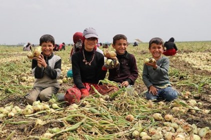 Çocuklarımızın geleceği tehlike altında