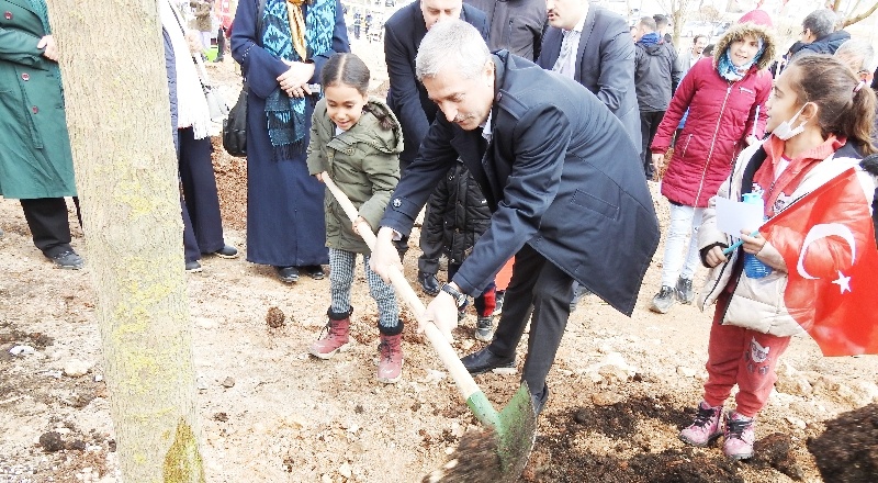 Çocukların hayatında bir ağaç dikmesini sağlamak çok önemli