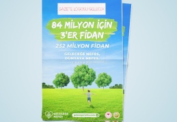 Çok sayıda ormanlık alanı kaybettik