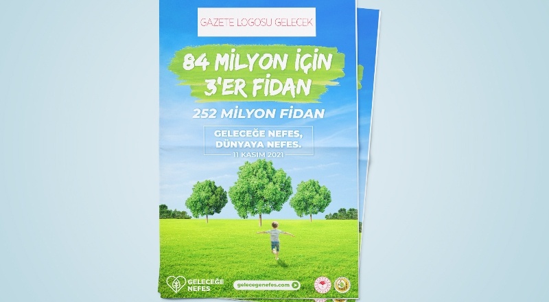 Çok sayıda ormanlık alanı kaybettik