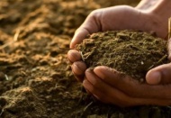 Çölleşme 1,5 milyar insanın hayatını doğrudan etkiliyor