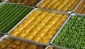 Çölyaklı çocuklar da baklava yiyebilecek