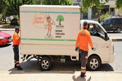 Çöp yerine, sevimli dostlara yem oluyor