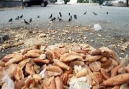 Çöpe atılan ekmek bedeliyle 191 ilkokul, 168 lise yapılabilir