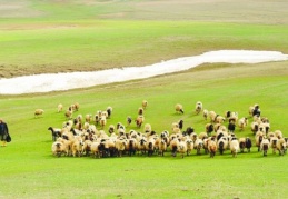 "Çözüm süreci" et fiyatlarına da yarayacak