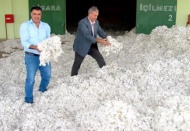 Çukobirlik, 1 kilogram 42 randıman kütlü pamuğu 2 lira 13 Kuruş'tan alıyor