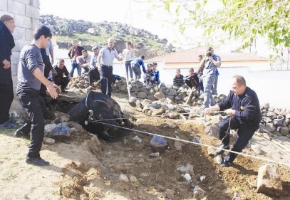 Çukura düşen ineği itfaiye kurtardı