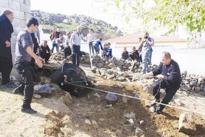 Çukura düşen ineği itfaiye kurtardı