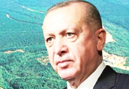 Cumhurbaşkanı, istediği araziyi 'ormanlık alan' olmaktan çıkarabilecek