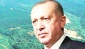Cumhurbaşkanı, istediği araziyi 'ormanlık alan' olmaktan çıkarabilecek
