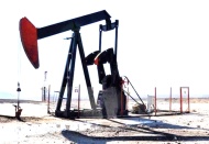 Cumhurbaşkanı kararı ile dev sermayeli 3 yeni şirket kuruldu